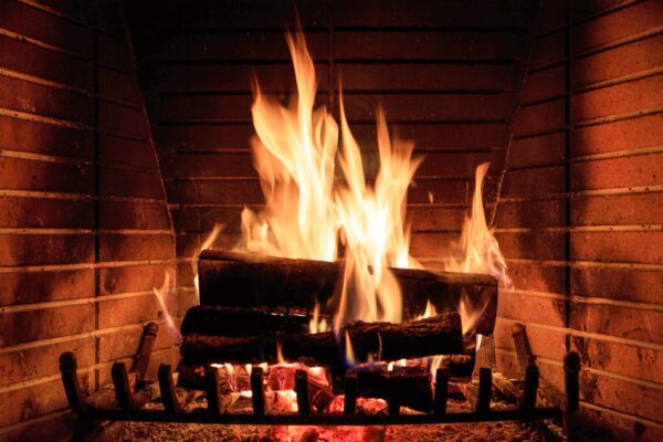 8 usos para cinzas de madeira em casa e no jardim